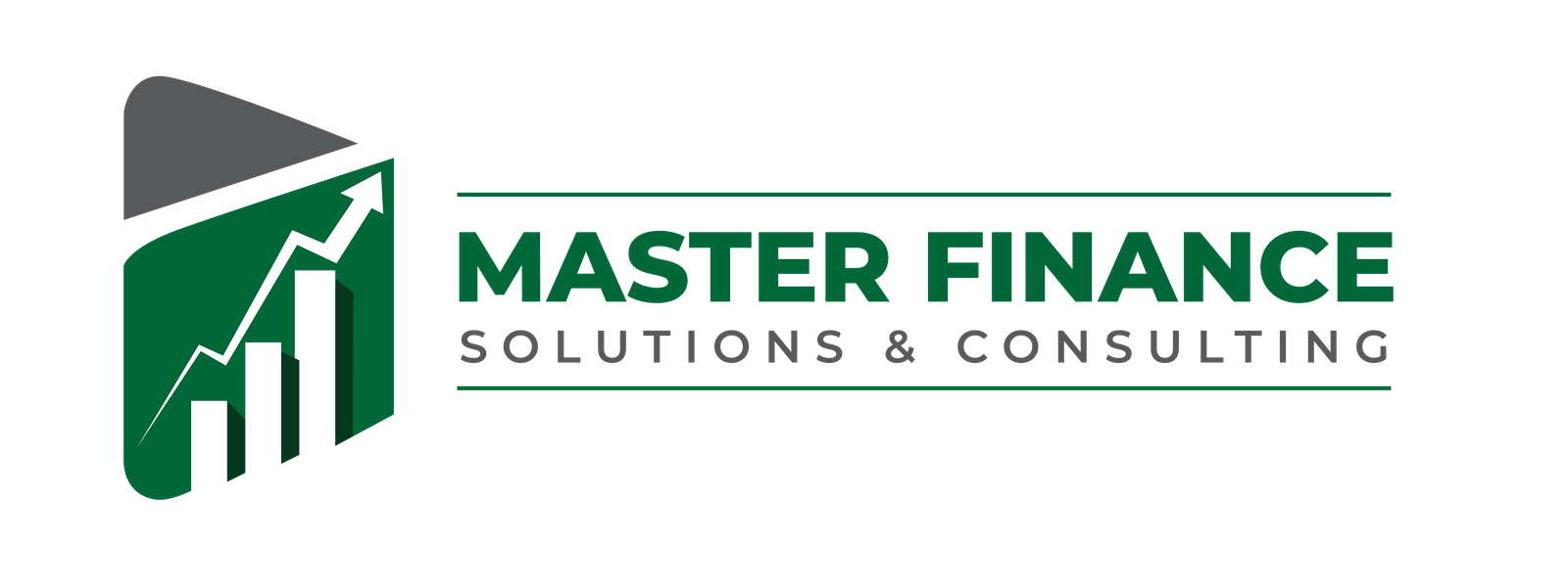 Master Finance Solutions & Consulting